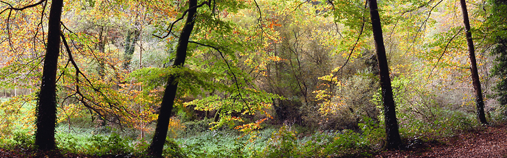 Pano - pano31_10_09n03.jpg